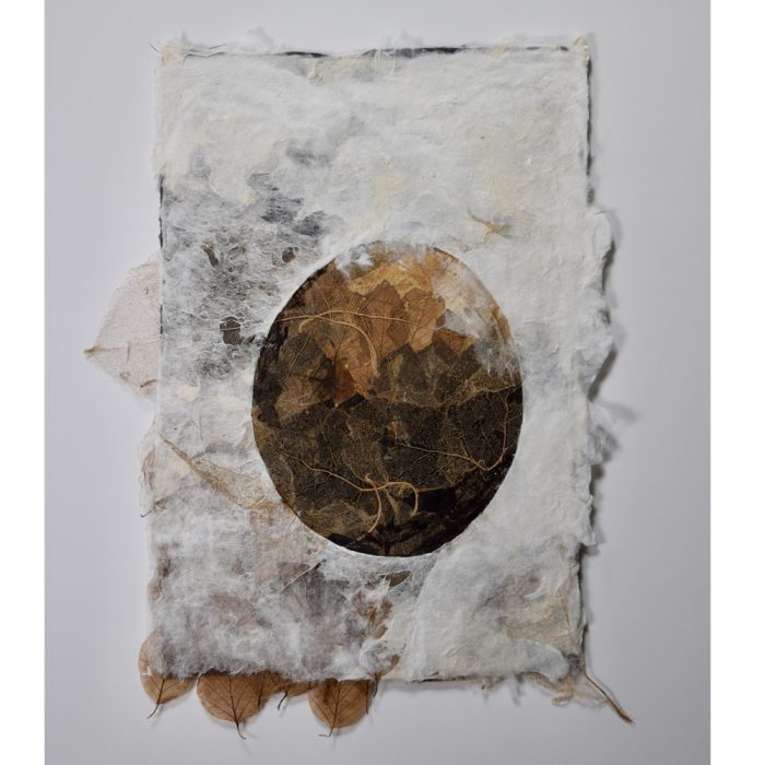 N° 2 - In the distant forest