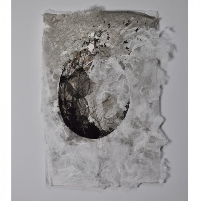 N° 3 - In the distant forest