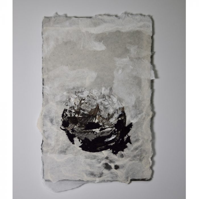N° 6 - In the distant forest