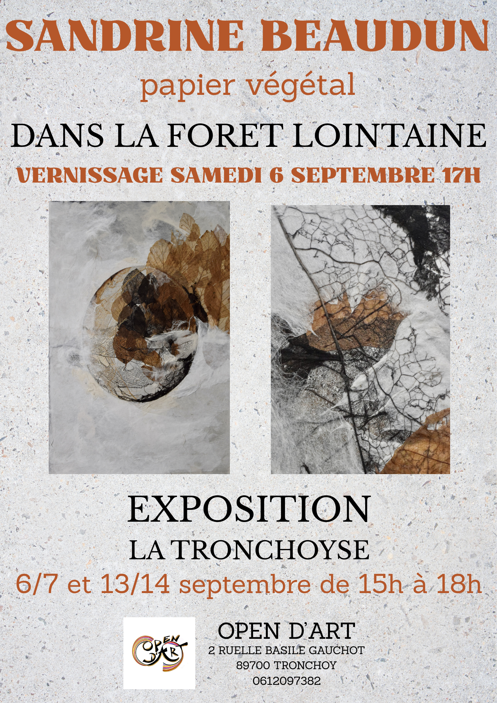 SANDRINE BEAUDIN affiche